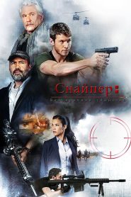 Снайпер: Безупречное убийство (2017)