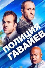 Полиция Гавайев (2010)