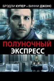 Полуночный экспресс (2008)