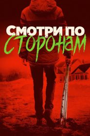 Смотри по сторонам (2017)