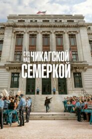 Суд над чикагской семеркой (2020)